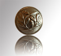 Bouton PN